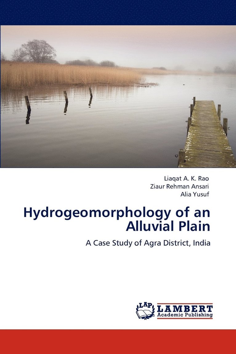 Hydrogeomorphology of an Alluvial Plain 1