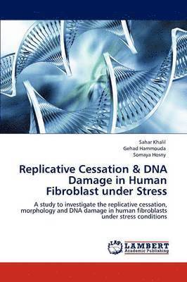 Replicative Cessation & DNA Damage in Human Fibroblast Under Stress 1