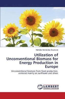 bokomslag Utilization of Unconventional Biomass for Energy Production in Europe