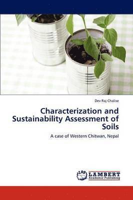 bokomslag Characterization and Sustainability Assessment of Soils