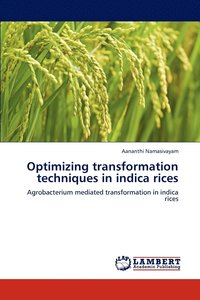 bokomslag Optimizing Transformation Techniques in Indica Rices