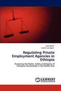 bokomslag Regulating Private Employment Agencies in Ethiopia