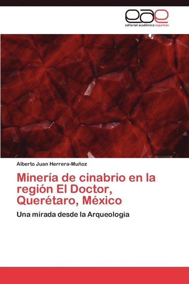 bokomslag Minera de cinabrio en la regin El Doctor, Quertaro, Mxico