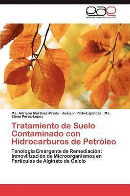 Tratamiento de Suelo Contaminado con Hidrocarburos de Petrleo 1