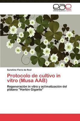 Protocolo de cultivo in vitro (Musa AAB) 1