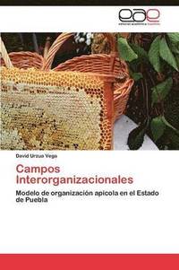 bokomslag Campos Interorganizacionales