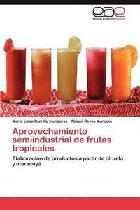 bokomslag Aprovechamiento semiindustrial de frutas tropicales