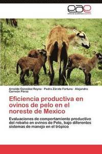 bokomslag Eficiencia productiva en ovinos de pelo en el noreste de Mexico
