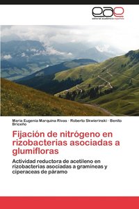 bokomslag Fijacin de nitrgeno en rizobacterias asociadas a glumifloras