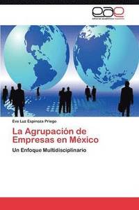 bokomslag La Agrupacion de Empresas En Mexico