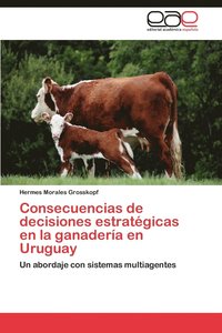 bokomslag Consecuencias de Decisiones Estrategicas En La Ganaderia En Uruguay