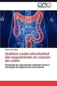 bokomslag Anlisis coste-efectividad del seguimiento en cncer de colon