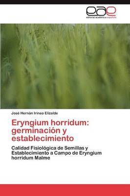 Eryngium horridum 1