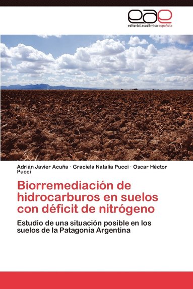 bokomslag Biorremediacin de hidrocarburos en suelos con dficit de nitrgeno