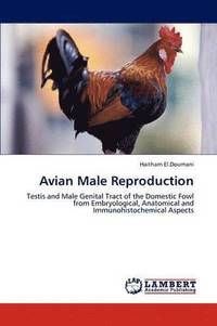bokomslag Avian Male Reproduction