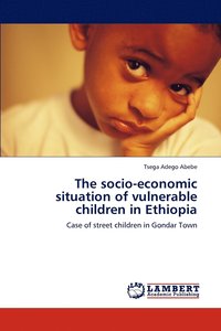 bokomslag The Socio-Economic Situation of Vulnerable Children in Ethiopia