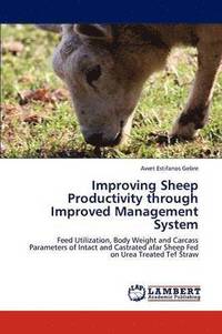 bokomslag Improving Sheep Productivity Through Improved Management System