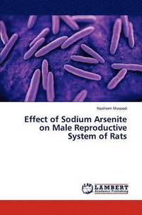 bokomslag Effect of Sodium Arsenite on Male Reproductive System of Rats