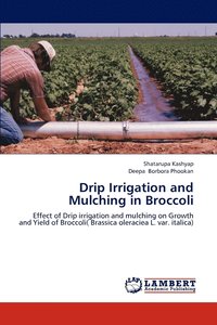 bokomslag Drip Irrigation and Mulching in Broccoli