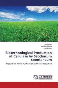 bokomslag Biotechnological Production of Cellulase by Saccharum Spontaneum