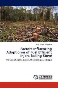 bokomslag Factors Influencing Adoptionm of Fuel Efficient Injera Baking Stove