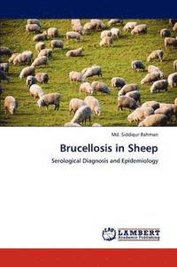 bokomslag Brucellosis in Sheep