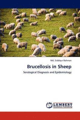 Brucellosis in Sheep 1