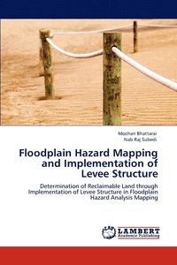 bokomslag Floodplain Hazard Mapping and Implementation of Levee Structure
