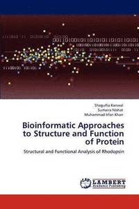 bokomslag Bioinformatic Approaches to Structure and Function of Protein