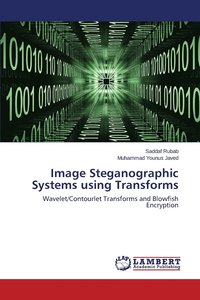 bokomslag Image Steganographic Systems using Transforms