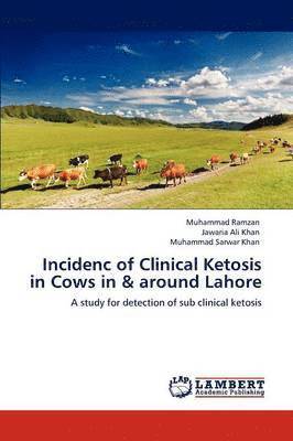 Incidenc of Clinical Ketosis in Cows in & around Lahore 1