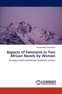 bokomslag Aspects of Feminism in Two African Novels by Women