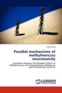 bokomslag Possible mechanisms of methylmercury neurotoxicity