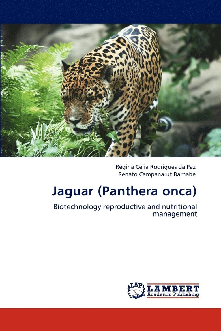 Jaguar (Panthera onca) 1