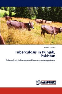 bokomslag Tuberculosis in Punjab, Pakistan