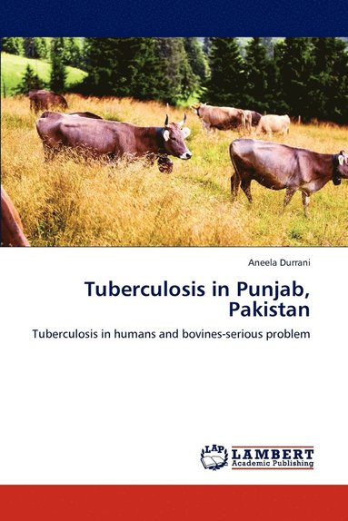 bokomslag Tuberculosis in Punjab, Pakistan