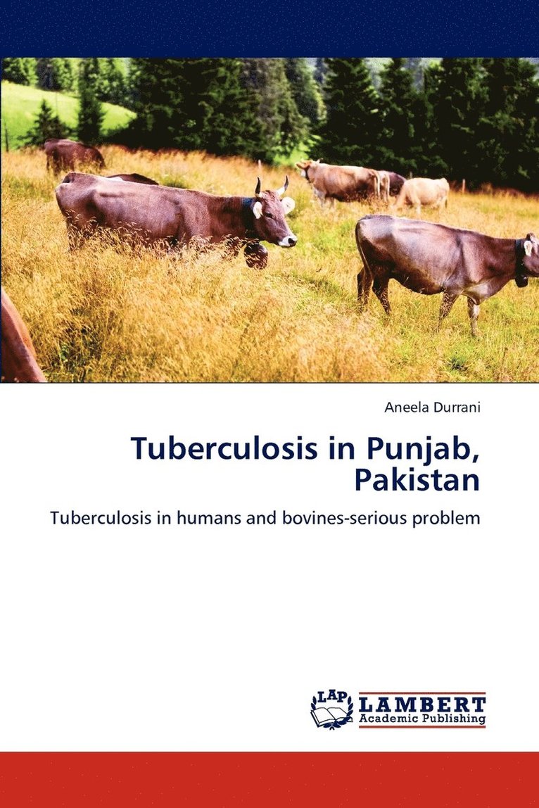 Tuberculosis in Punjab, Pakistan 1