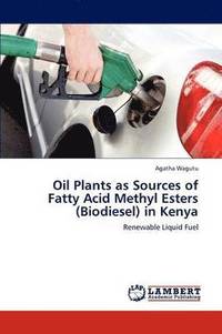 bokomslag Oil Plants as Sources of Fatty Acid Methyl Esters (Biodiesel) in Kenya