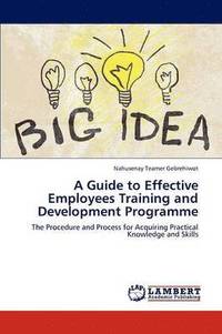 bokomslag A Guide to Effective Employees Training and Development Programme