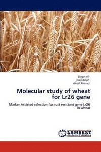 bokomslag Molecular Study of Wheat for Lr26 Gene