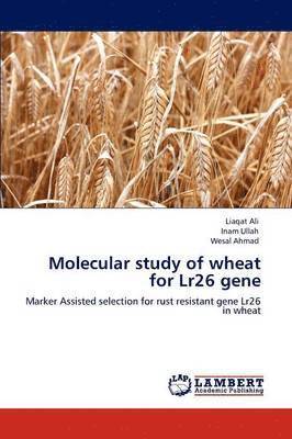 Molecular Study of Wheat for Lr26 Gene 1