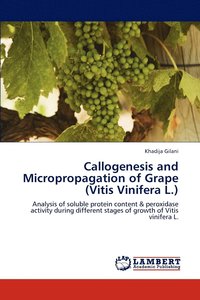 bokomslag Callogenesis and Micropropagation of Grape (Vitis Vinifera L.)