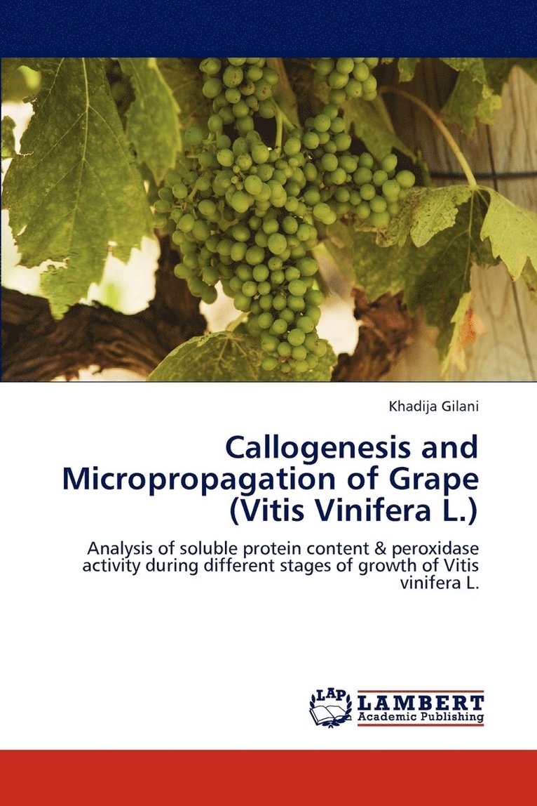 Callogenesis and Micropropagation of Grape (Vitis Vinifera L.) 1