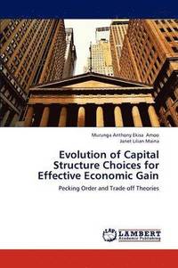 bokomslag Evolution of Capital Structure Choices for Effective Economic Gain