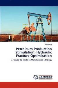 bokomslag Petroleum Production Stimulation