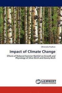bokomslag Impact of Climate Change