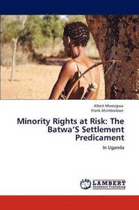 bokomslag Minority Rights at Risk