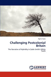bokomslag Challenging Postcolonial Britain