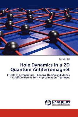 bokomslag Hole Dynamics in a 2D Quantum Antiferromagnet