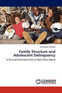 bokomslag Family Structure and Adolescent Delinquency